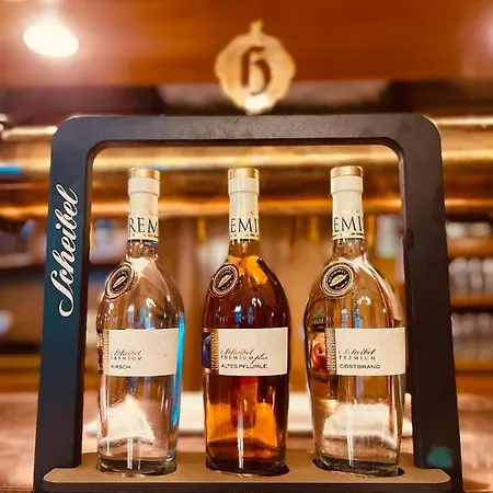 Hoepfner Burghof 3* Karlsruhe