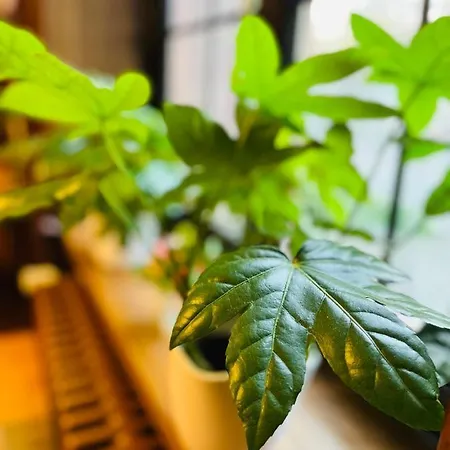 Hoepfner Burghof Hotel Karlsruhe