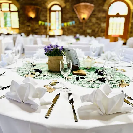 Hotel Hoepfner Burghof 3*